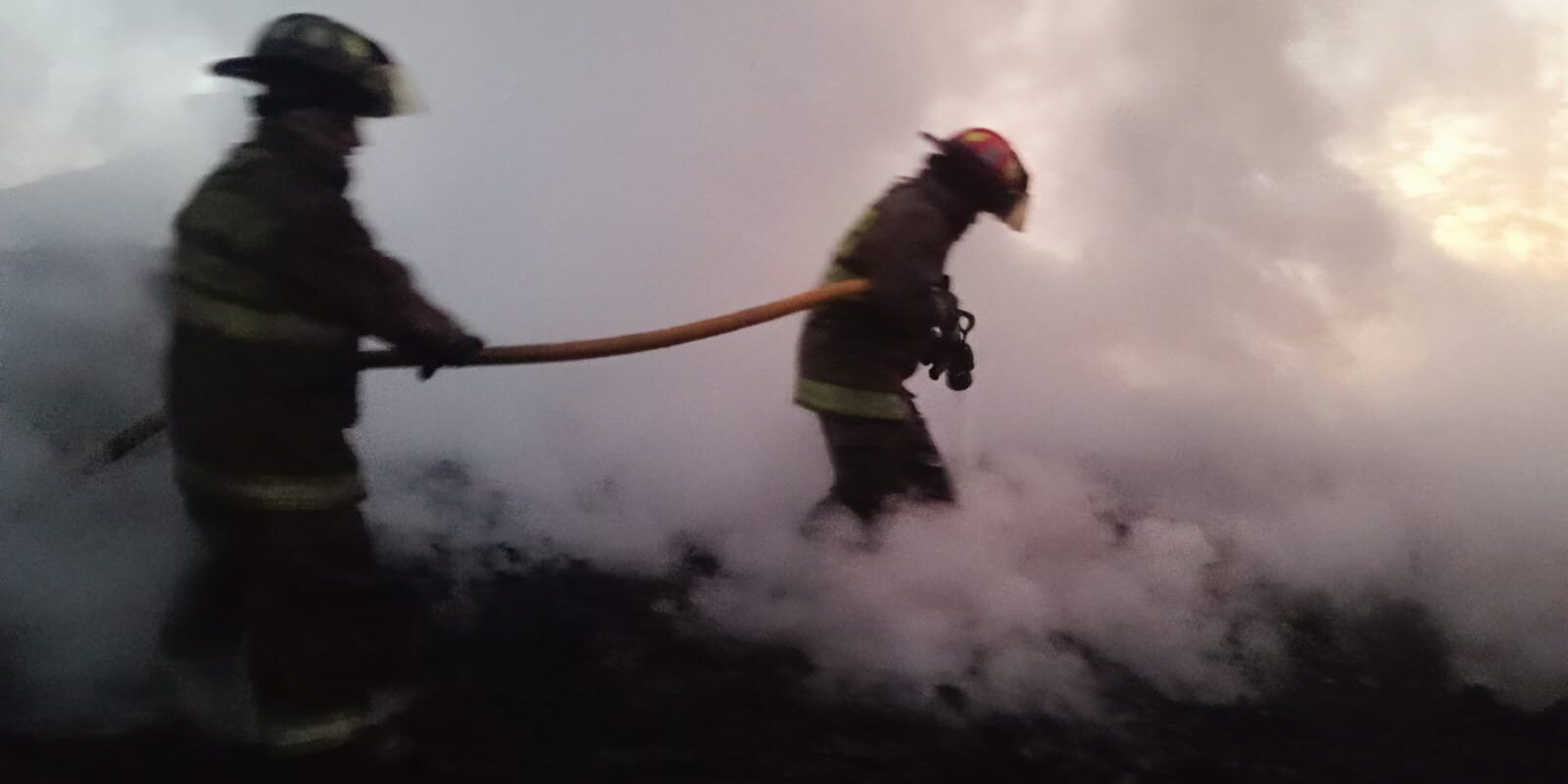 WhatsApp Image 2025-11-24 at 1.01.30 PM (3)